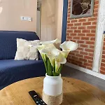 La Casuca One De Lebeña * Lebena